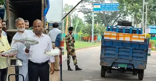 আখাউড়া স্থলবন্দর দিয়ে ভারত গেলো ১২০০ কেজি ইলিশ